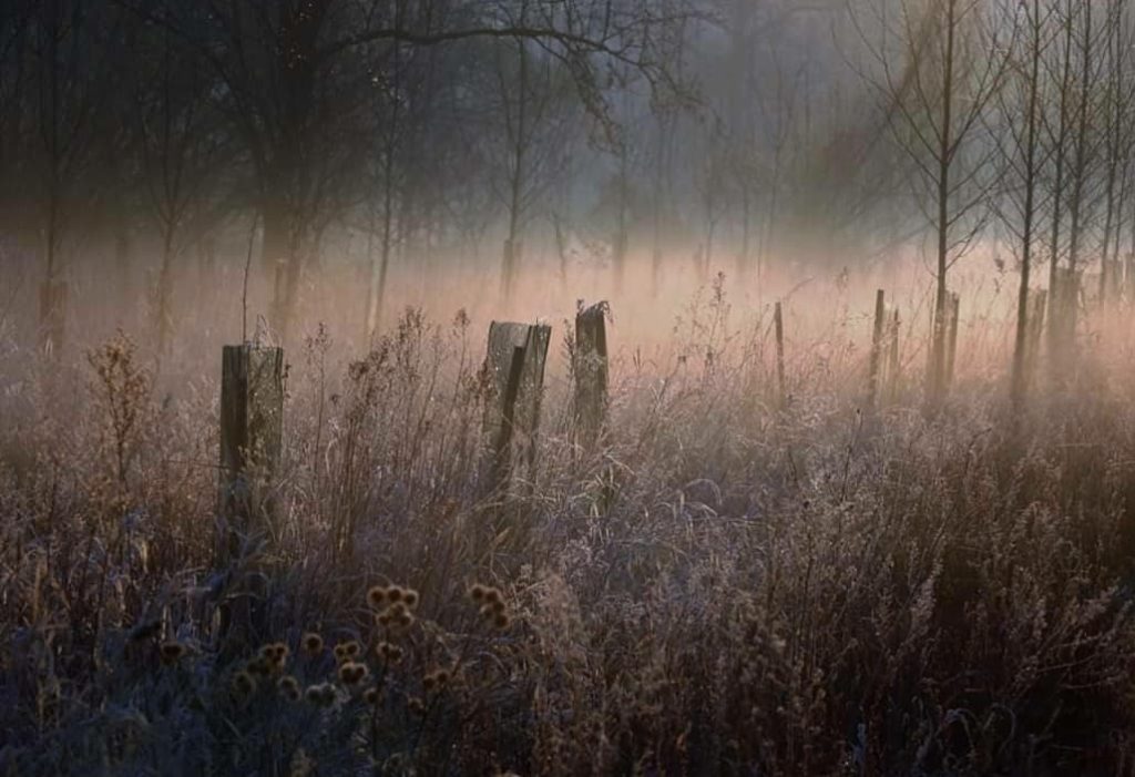 nebelige Landschaft