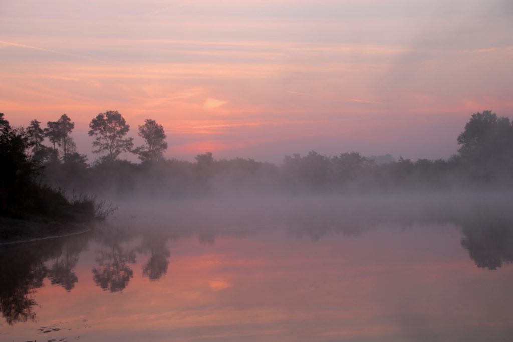 nebelige Landschaft und rosa Sonnenaufgang
