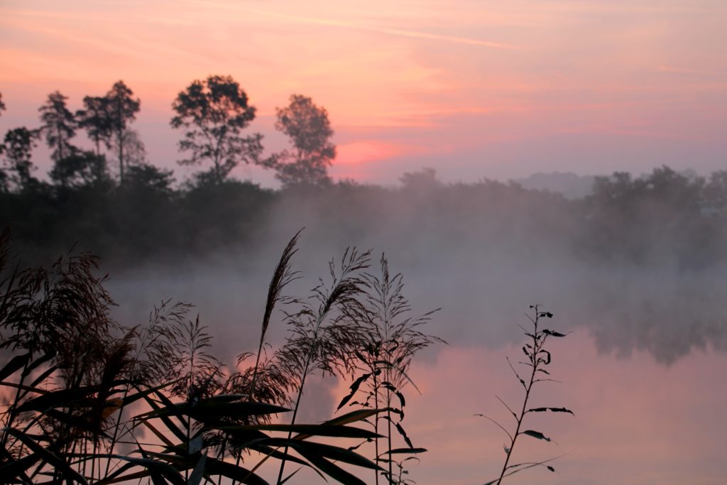 nebelige Landschaft und rosa Sonnenaufgang