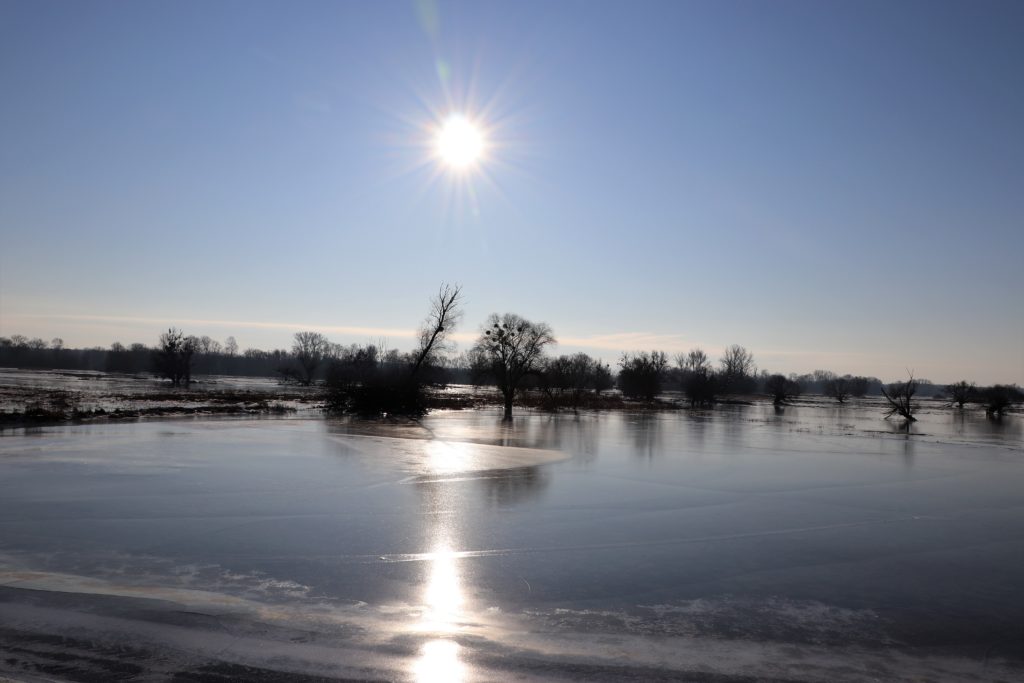 Zugefrorene Landschaft