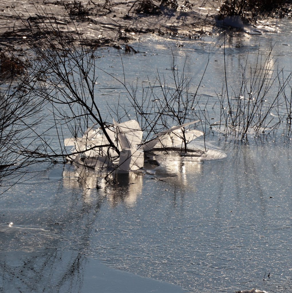 Zugefrorene Landschaft