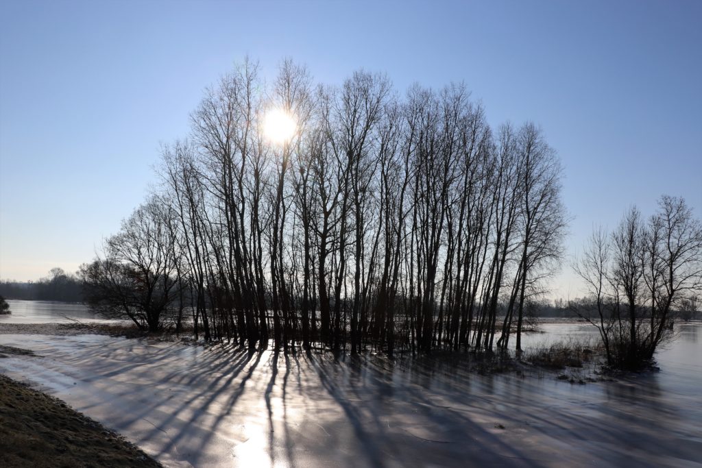 Zugefrorene Landschaft