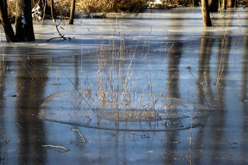 Zugefrorene Landschaft
