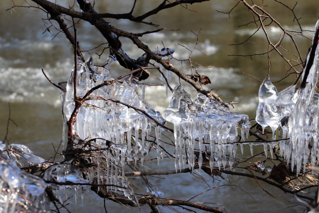 Eiszapfen auf Baumästen