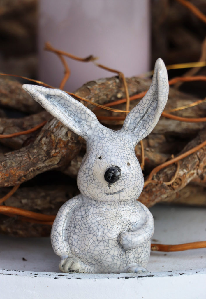 grauer Hase mit schwarzer Nase